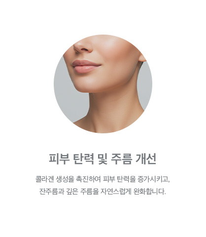 피부 탄력 및 주름 개선