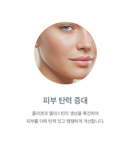 피부 탄력 증대