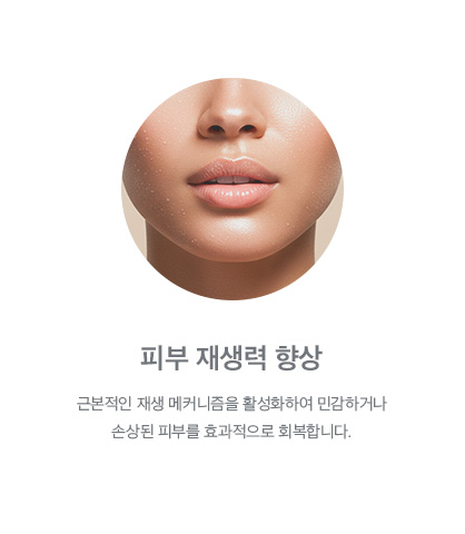 피부 재생력 향상
