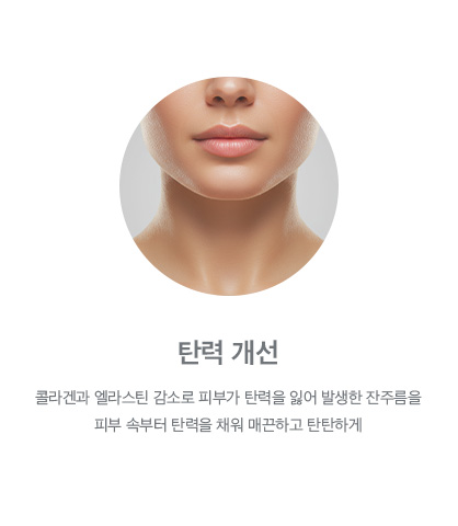 탄력 개선