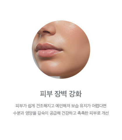 피부 장벽 강화